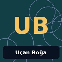 Uçan Boğa profil fotoğrafı